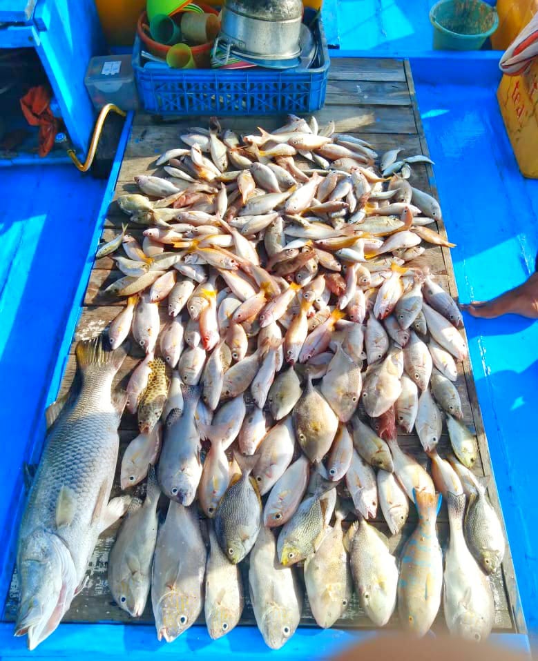 Fishing Trip Pulau Lancang